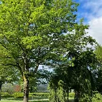 La Dogana - Pool, Large Park, For Groups